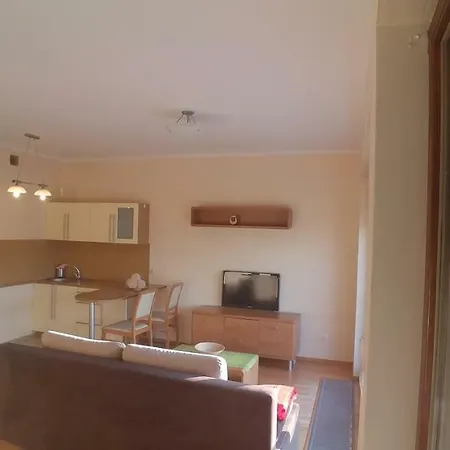 Apartament Studio Apartment